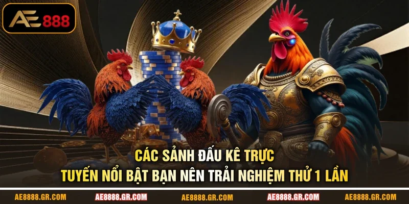 Các sảnh đấu kê trực tuyến nổi bật bạn nên trải nghiệm thử 1 lần
