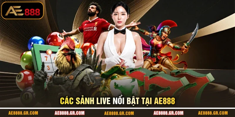 Các sảnh live nổi bật tại AE888