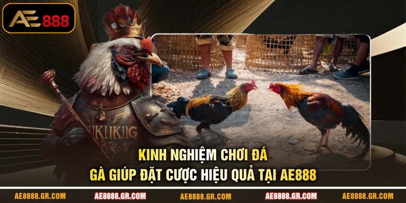Kinh Nghiệm Chơi Đá Gà Giúp Đặt Cược Hiệu Quả Tại AE888