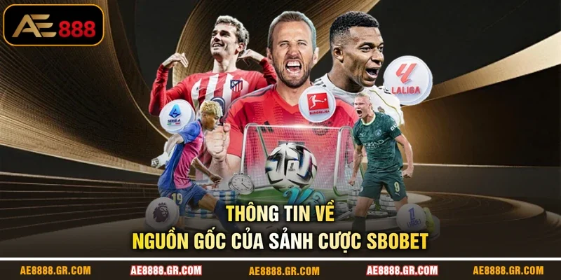 Thông tin về nguồn gốc của sảnh cược SBOBET