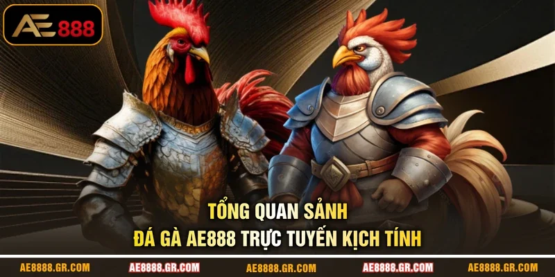 Tổng quan sảnh đá gà AE888 trực tuyến kịch tính