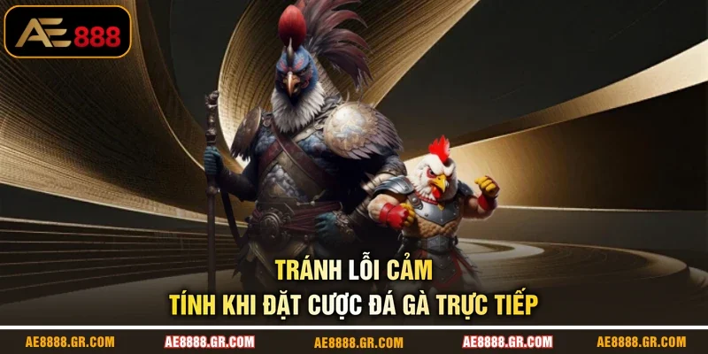Tránh lỗi cảm tính khi đặt cược đá gà trực tiếp